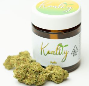 B. Koality 3.5g Flower - Quality 9/10 - Black Jack (~23% THC)