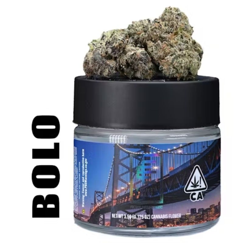 Bolo
