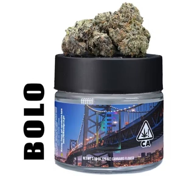 Bolo
