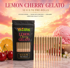 0.7G Pre-Roll: Lemon Cherry Gelato (I) 10 Pack