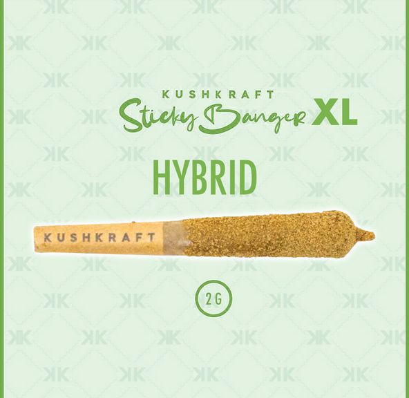 1 x 2G XL Infused Sticky Banger - Hybrid