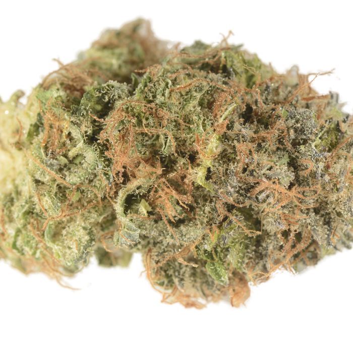 Bloom Farms - Oracle 3.5g