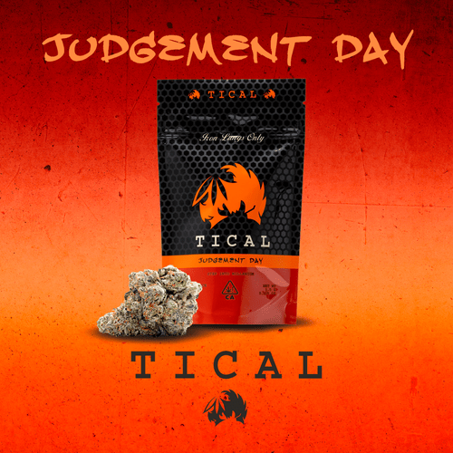 TICAL Judgement Day Prepackaged 1/8th