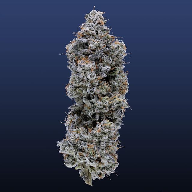 Fig Farms | Animal Mints BX1 24.73% THC 3.5g