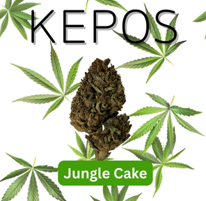 Kepos - Jungle Cake 28g - PREMIUM FLOWERS
