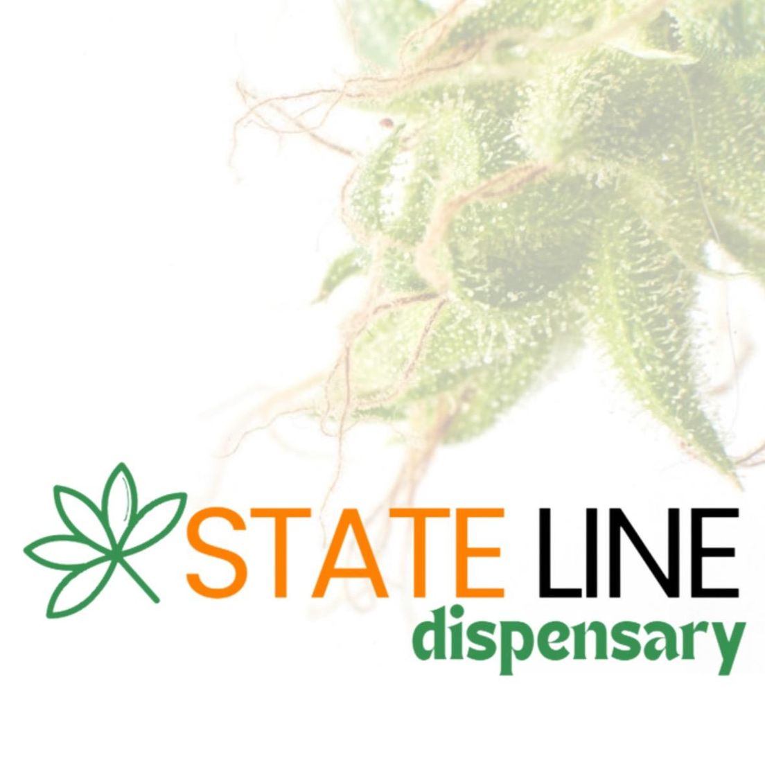 Cherry Loops - 24.07% THC - Sativa Dom (Premium)