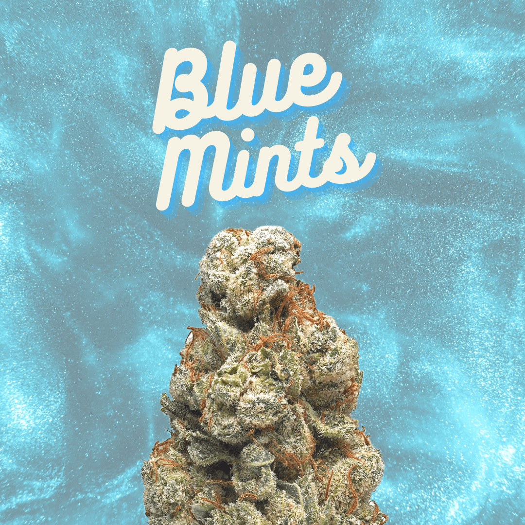 DAZE - Blue Mints (14g)