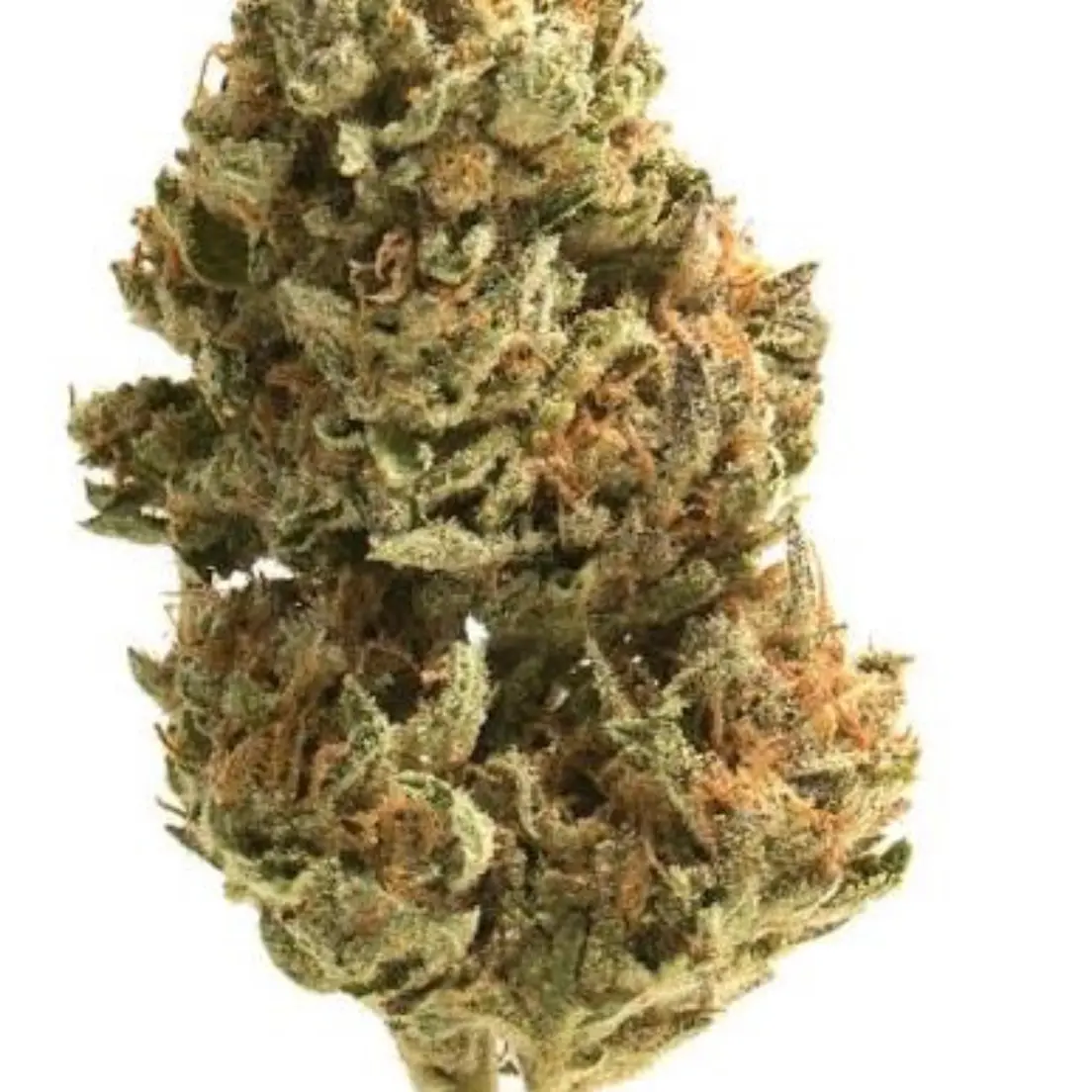 Cactus Jack