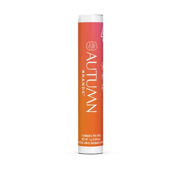 Autumn Brands - Funky Flower Child preroll - 1g