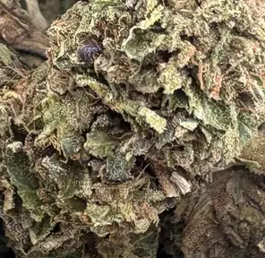 14G - OCTANE (AAA)