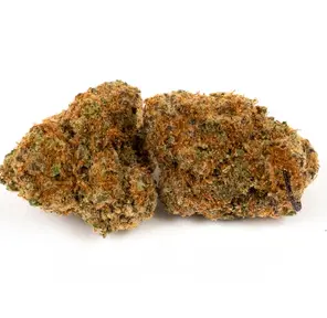 Gorilla Glue