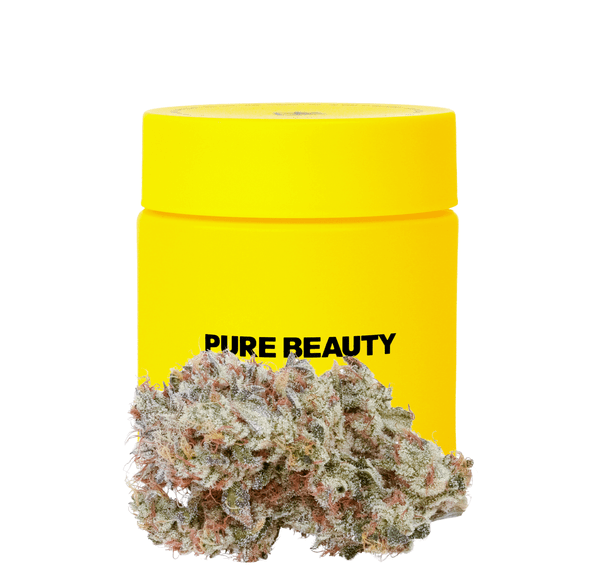 Pure Beauty | Flower | 3.5g | Mango Mintality