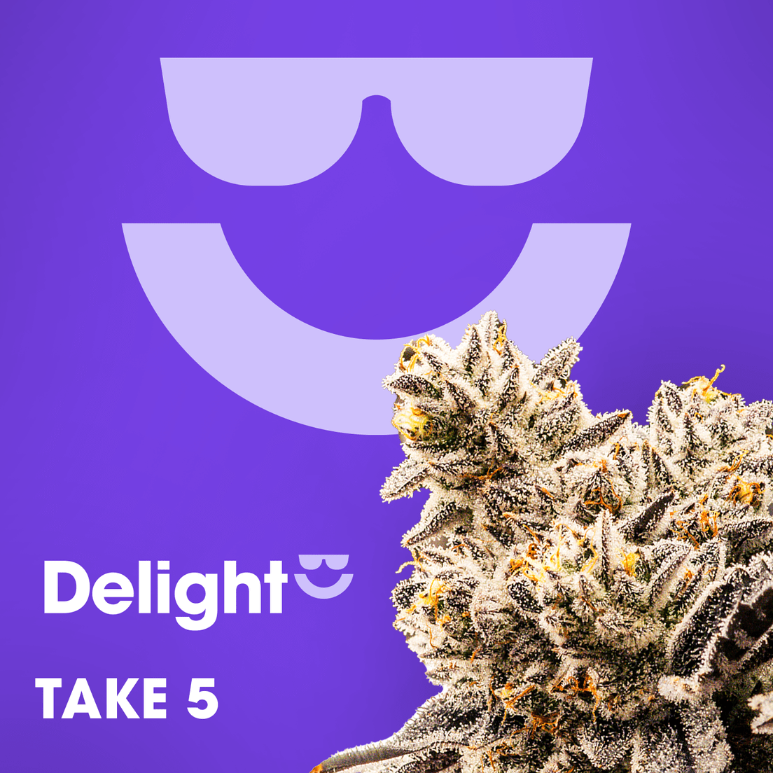 Delight | Take 5 | 3.5g Flower