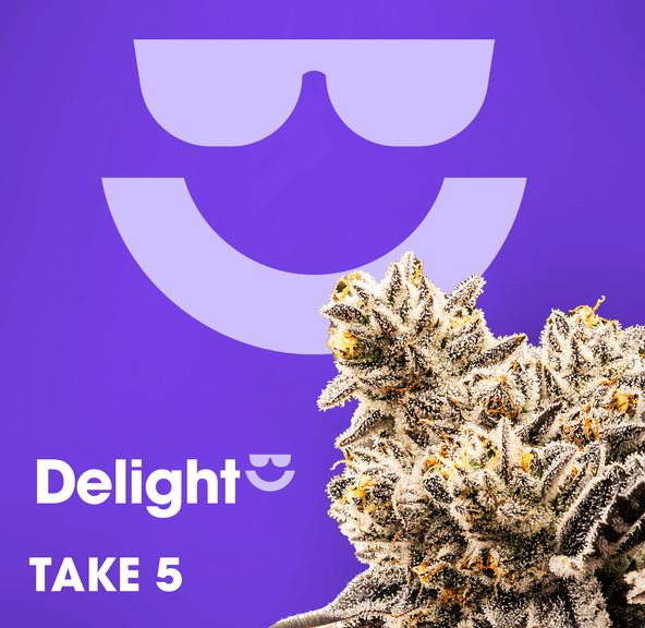 Delight | Take 5 | 3.5g Flower