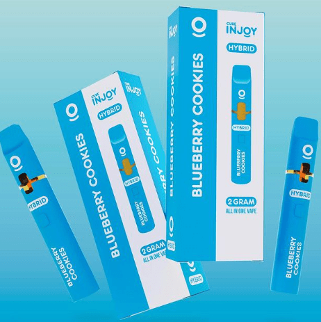 Blueberry Cookies Disposable