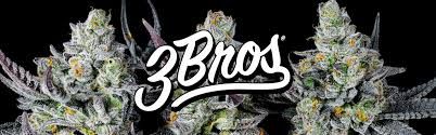 3Bros - Jar - PAIGOW - 3.5g