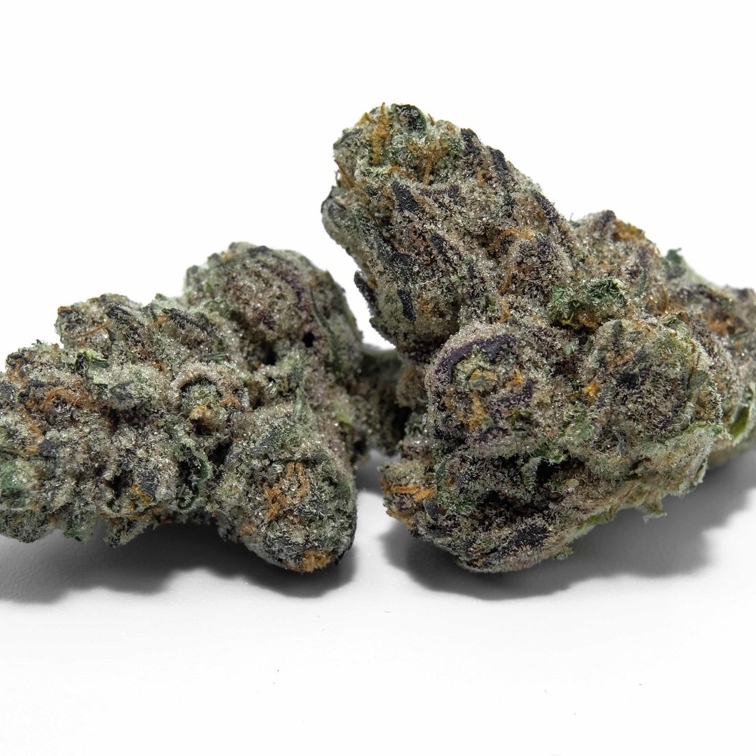 D. Biscotti x Gushers 3.5g (Glass) - CONNECTED