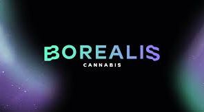 Borealis Dome Piece 7pk Prerolls w/ Lighter
