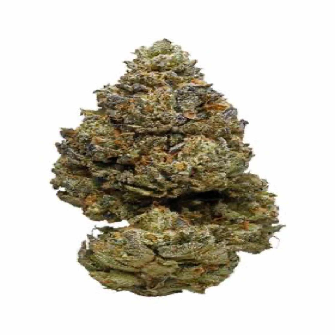 Fusion OG