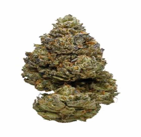 Fusion OG