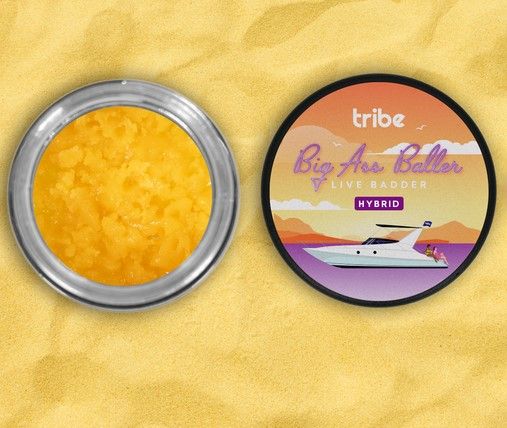 TRIBE HELLA KUSH LIVE BADDER BALLER JAR 14G
