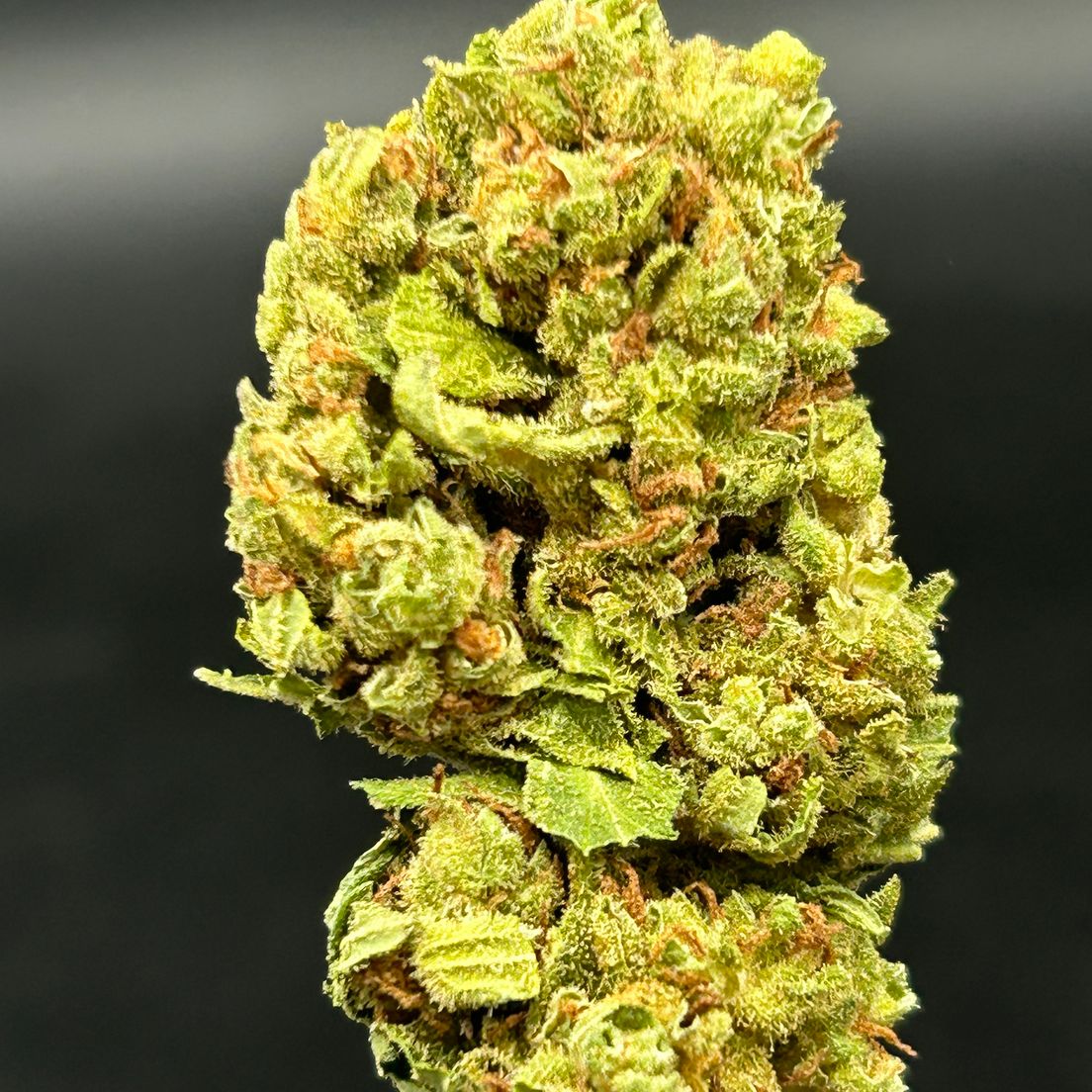 Afghani - $50 Oz