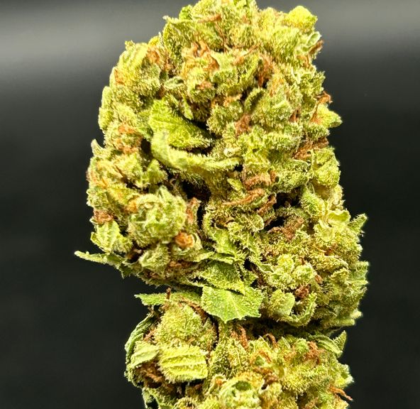 Afghani - $50 Oz