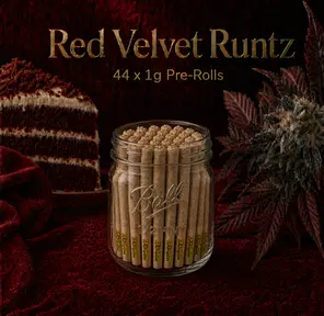 1G Pre-Roll: Red Velvet Runtz (I) 44 PACK JAR