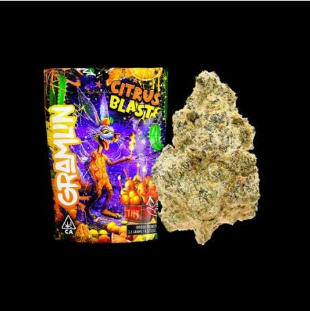 Gramlin - 14g - Citrus Blast