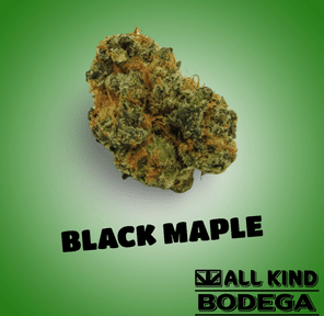 Black Maple 3.5g Flower (@nobo)