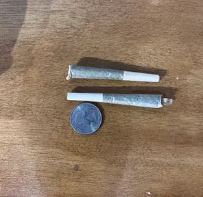 Dizgo Preroll 2 pack - Tricross (.5g each)