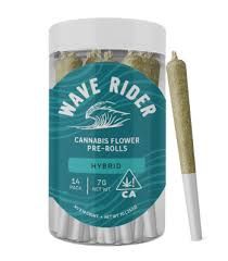 Wave Rider Nursery: Rider Zion OG $18