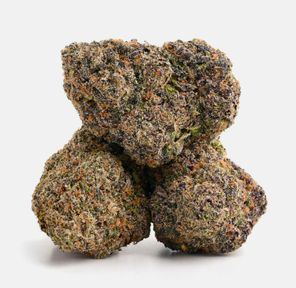 Purple Nerdz (Hybrid) THC 25.7%