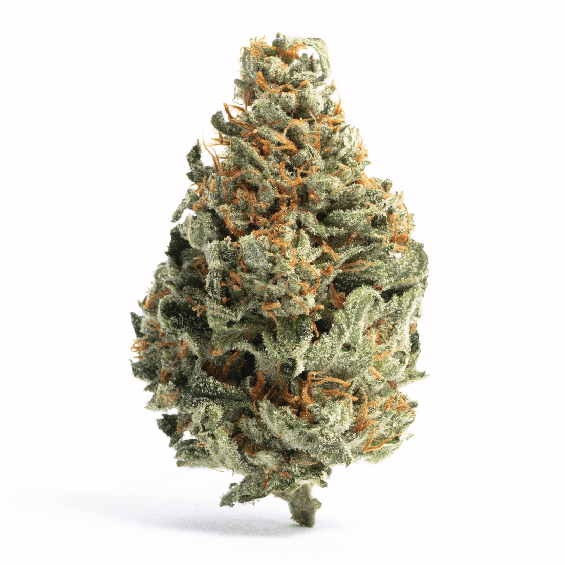 West Coast Cure - Tropical Runtz (3.5g)