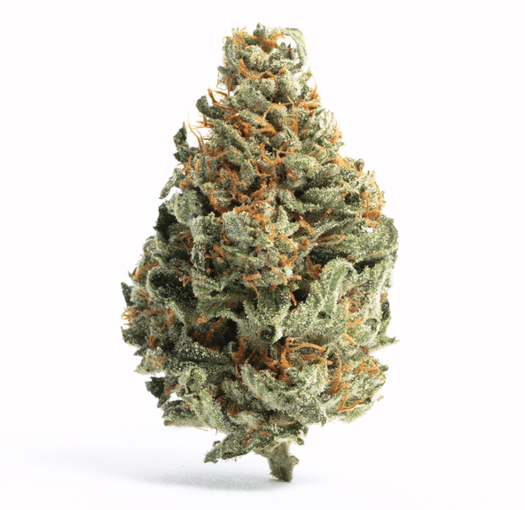 West Coast Cure - Tropical Runtz (3.5g)