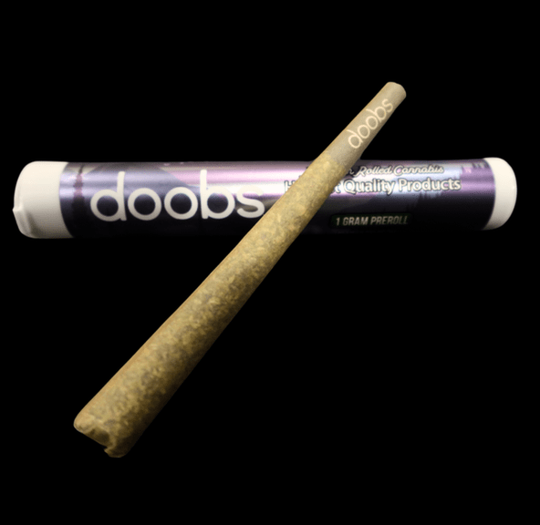 Doobs Applecino 1g Pre-roll