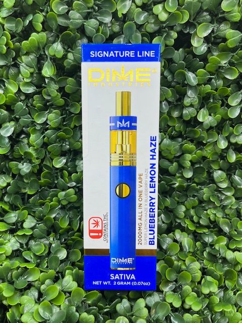 Dime Disposable - Blueberry Lemon Haze - 2G