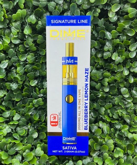 Dime Disposable - Blueberry Lemon Haze - 2G