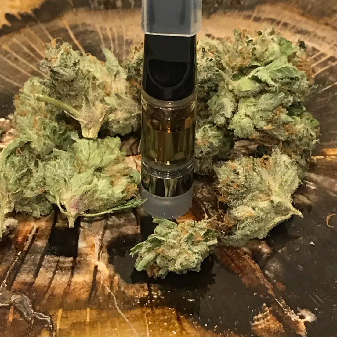 Sacred Lotus CBD 1:1 Jupiter Cart 500mg