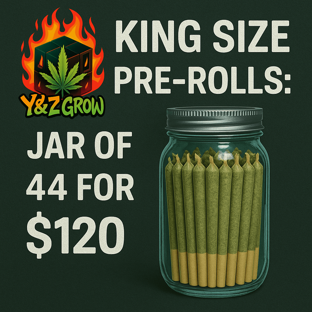 King Size Pre-Roll: Blueberry (Indica) 44 PACK JAR