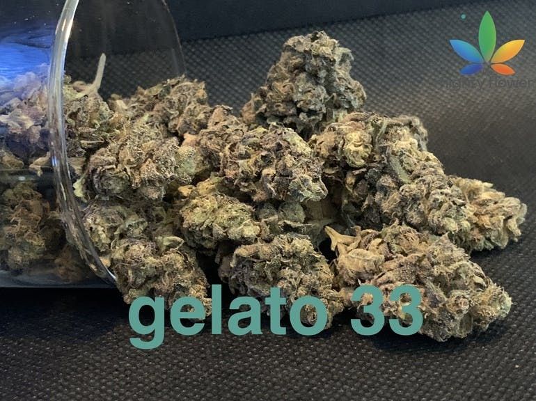gelato 33  top shelf