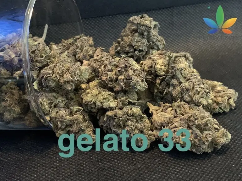 gelato 33 top shelf