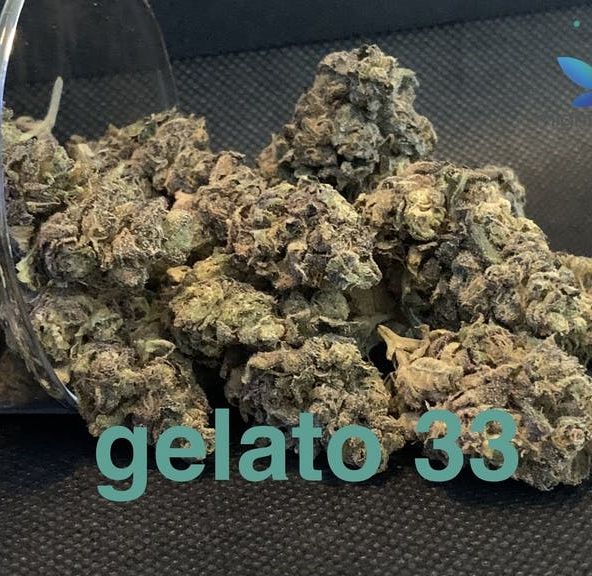 gelato 33 top shelf