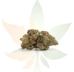 Blackberry Cough AAAA