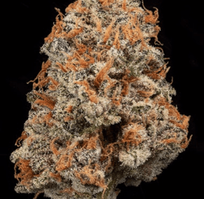 MVN - Packaged Gram - Midnight Snacks