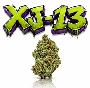 XJ-13 - 14G | INDOOR FLOWER | SATIVA