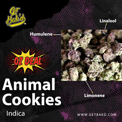 Animal Cookies Oz Deal $75