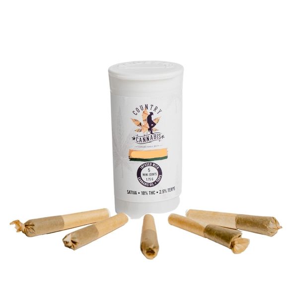 CC 5 PACK MINIS STRAWBERRY COUGH 5pack/2G