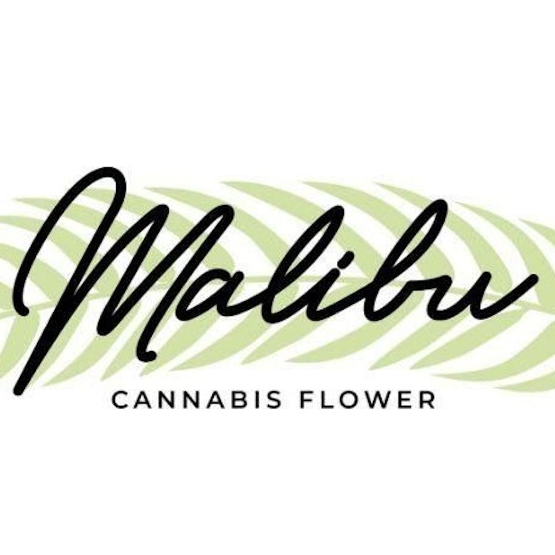 MALIBU I KING LOUIS I 1G VAPE