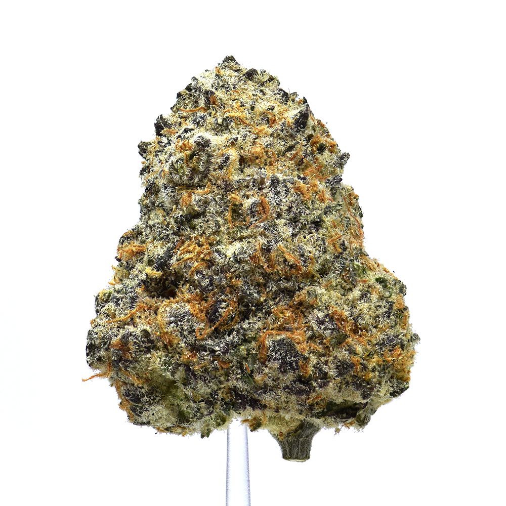 Apple Mints | NEW!